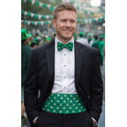 Saint Patty's Day Shamrocks Cummerbund and Tie Set, Festive Green Accessories for Celebrations